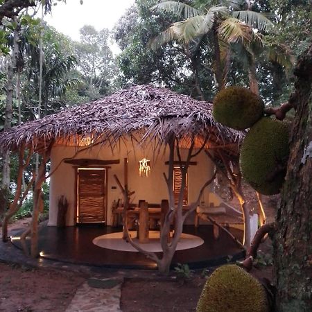 Ella Retreat Hotel Villa For Nature Lovers エクステリア 写真