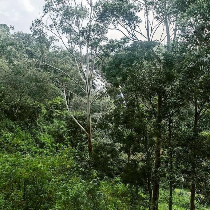 Ella Retreat Hotel Villa For Nature Lovers エクステリア 写真