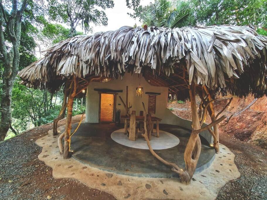 Ella Retreat Hotel Villa For Nature Lovers エクステリア 写真