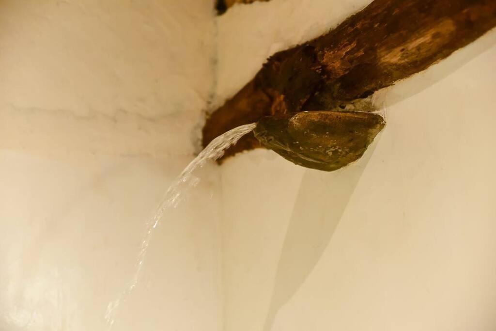 Ella Retreat Hotel Villa For Nature Lovers エクステリア 写真